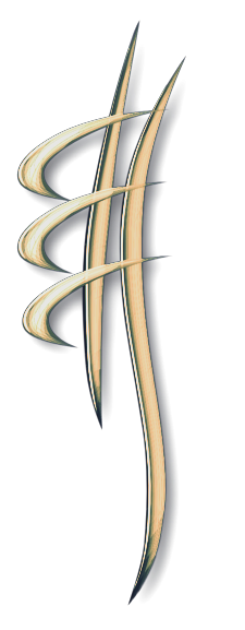 logo chiro